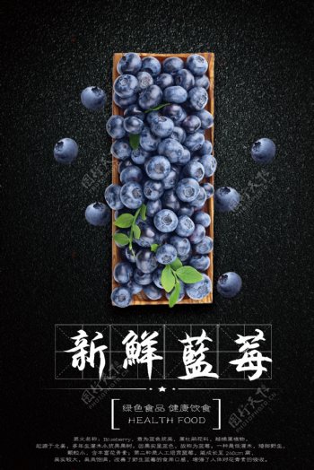 蓝莓水果海报设计