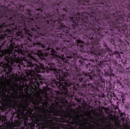 紫色绒布地毯贴图