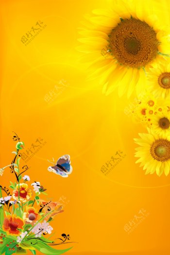 手绘花朵向日葵黄色背景