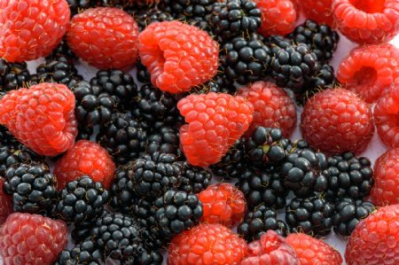 黑红野生山莓水果