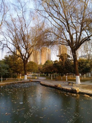 日暮下的公园风景