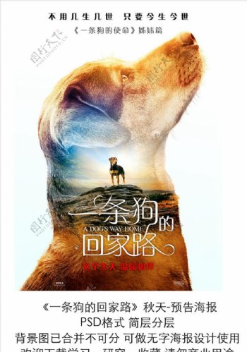 电影一条狗的回家路秋季预告海报