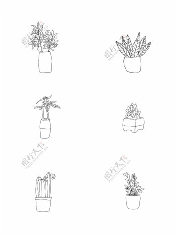 原创植物盆栽花盆植物线稿手绘植物花