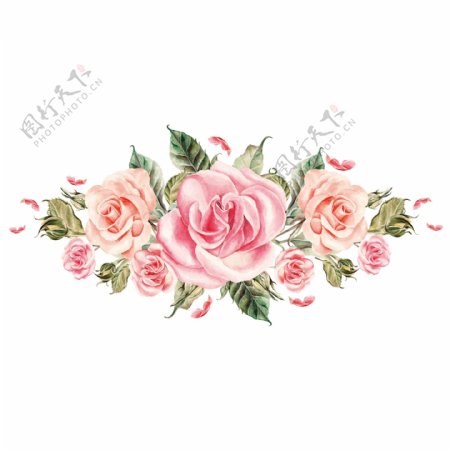 粉色水彩花卉透明素材可商用