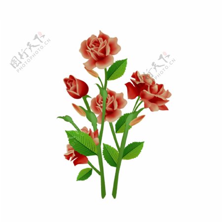 情人节写实红色玫瑰花花卉
