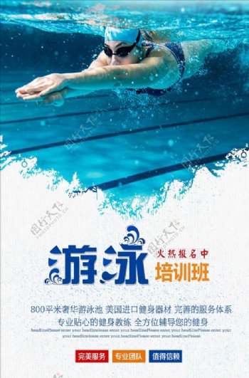 夏季游泳暑期培训班招生海报