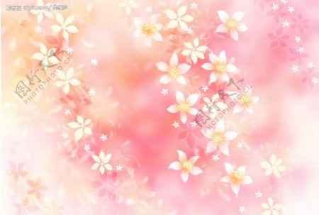粉色的朦胧花朵