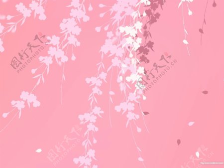 纯色粉色背景剪影碎花图案