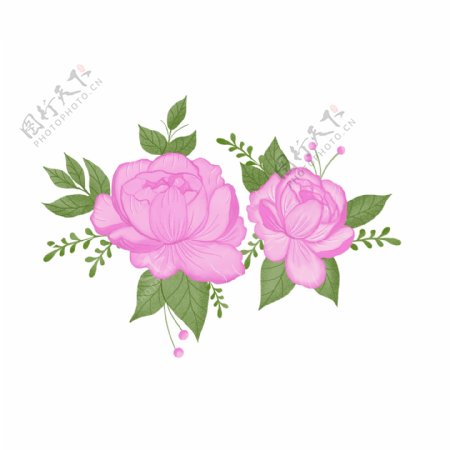 手绘植物花卉元素粉色花卉