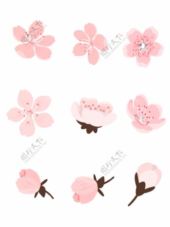 樱花花朵手绘ai矢量粉色花瓣