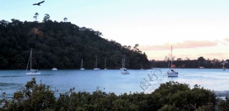 新西兰海滨黄昏风景