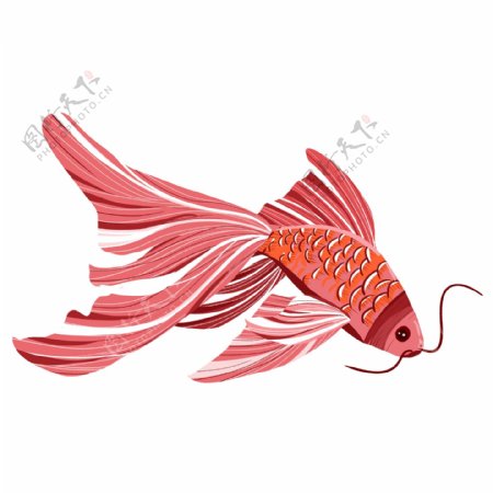 手绘可爱红色金鱼透明素材