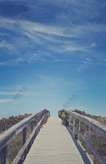 蓝天木桥