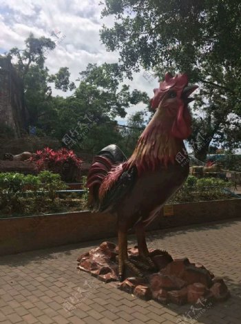 公园雕塑公鸡