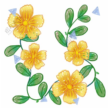手绘橙黄色花朵花边底纹
