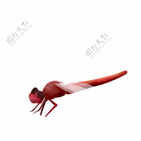 卡通简约红色蜻蜓装饰素材