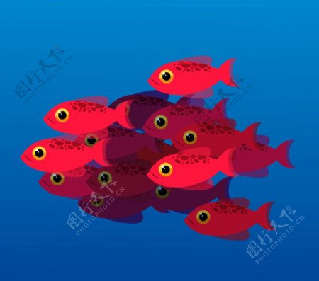 红色鱼群