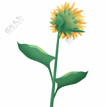 手绘创意一枝向日葵设计