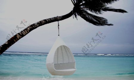 海上椰树和吊篮