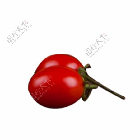 红色西红柿水果元素