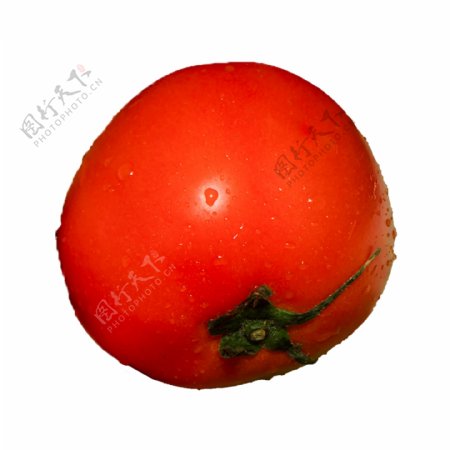 西红柿蔬菜png免抠