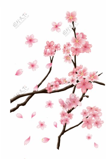 春天春季树木樱花插画