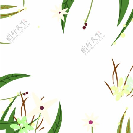 手绘植物边框插画