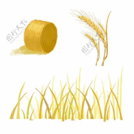 芒种的手绘麦穗稻堆