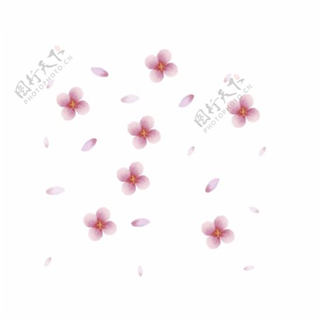 樱花花瓣png素材