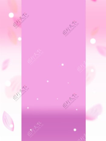 粉色典雅花瓣飘落背景图