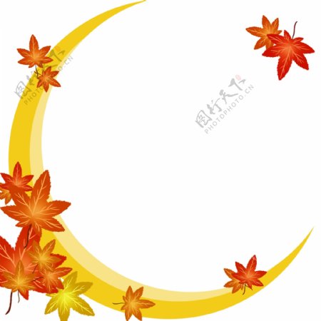 秋季树叶月亮边框插画
