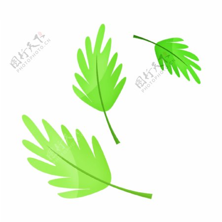 分叉的绿色叶子插画