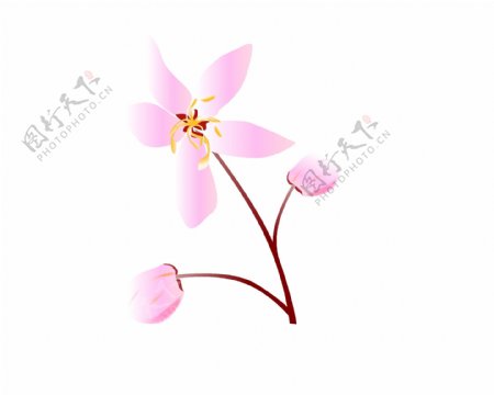 粉色樱花花瓣花朵插图