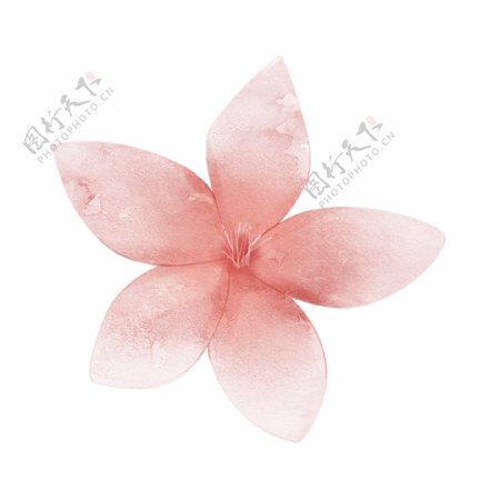 粉色花朵花瓣插画