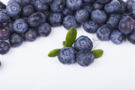 新鲜蓝莓实物图摄影图2