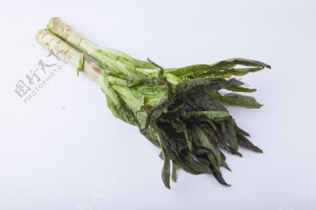 新鲜蔬菜莴苣实物图摄影图1