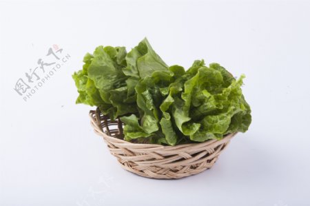 实物图摄影图新鲜蔬菜生菜