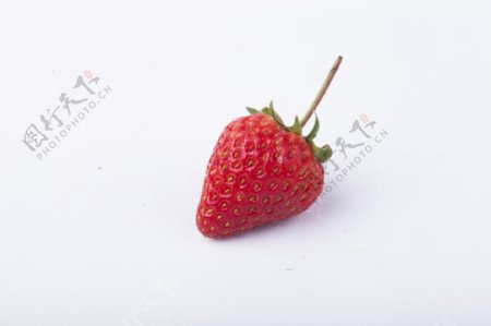 新鲜可口草莓实物图摄影图1