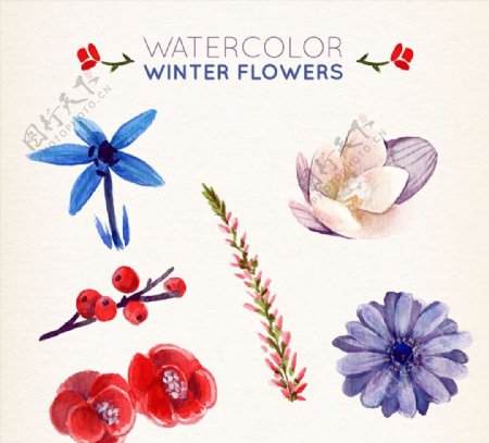 6款水彩绘冬季植物花卉