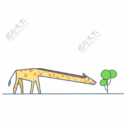一只长颈鹿吃树叶分割线