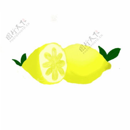 柠檬水果插画酸的柠檬带叶子