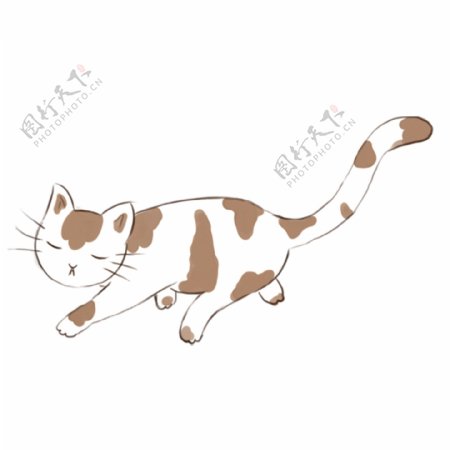 手绘猫咪动物卡通透明素材