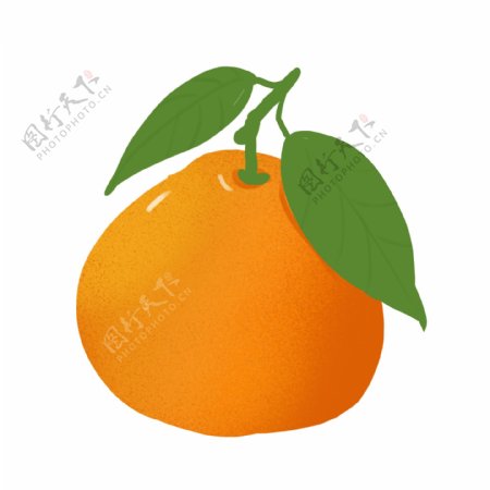 水果橙子橘子插画