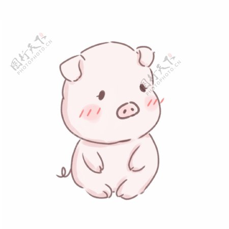 可爱手绘小猪宝宝