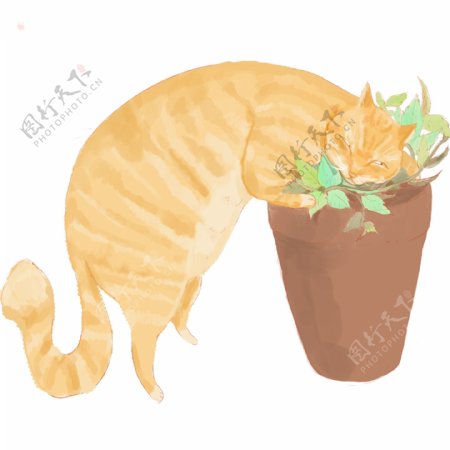 动植物卡通手绘风花草橘猫