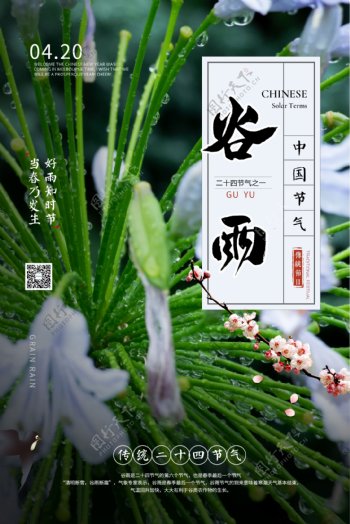 中国风传统二十四节气谷雨海报