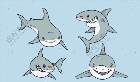 矢量鲨鱼集合