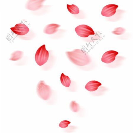 大气红色漂浮花瓣装饰元素