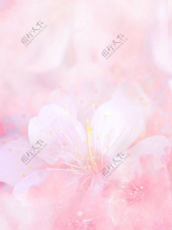 春天粉色唯美樱花背景