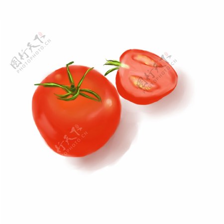 番茄写实绘画番茄